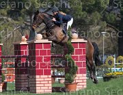 Johansen Lady Catalina TosTour2013- S5 2194 : Arezzo, Arezzo Equestrian Centre, Johansen Ida, LADY CATALINA, Toscana Tour 2013, foto di Stefano Secchi ©